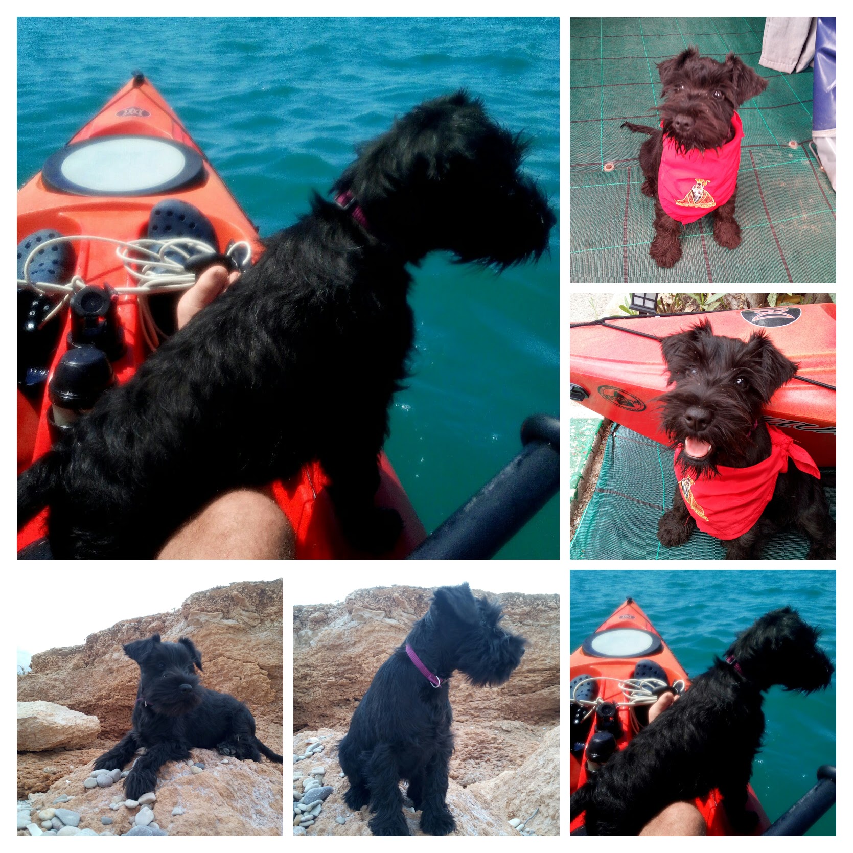 LUR (Haniel del Pago los Albardines)